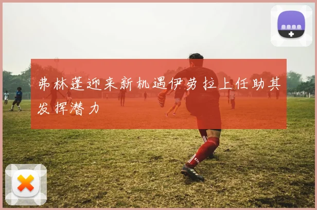 弗林蓬迎来新机遇伊劳拉上任助其发挥潜力